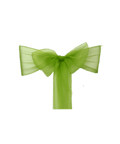 Organza Schleifenband lindgrün zum Mieten