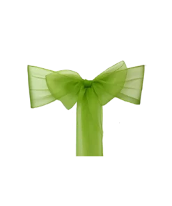 Organza Schleifenband lindgrün zum Mieten
