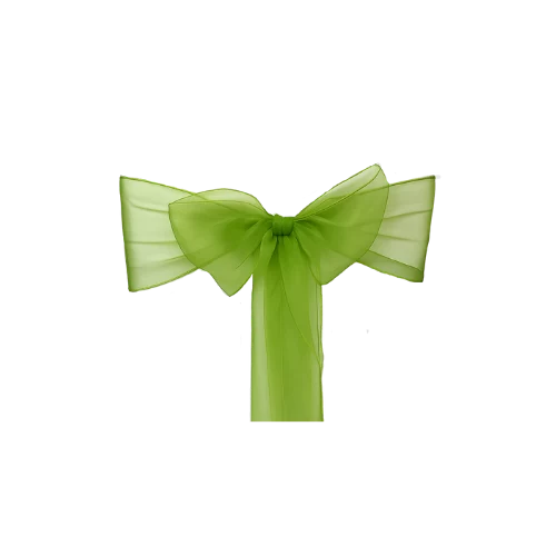 Organza Schleifenband lindgrün zum Mieten
