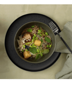 Schale nori 11 - Aperogeschirr Porzellan zum Mieten (Bild 1)