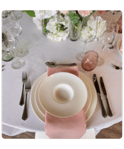 Serviette Rusty Pink mieten ZÃ¼rich