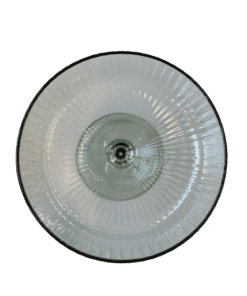 Champagnerschale Stripe Grün - Gläser zum Mieten (Bild 1)