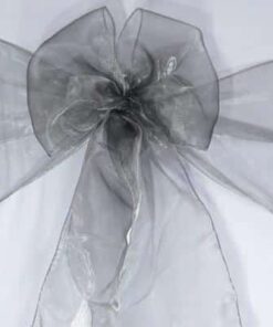 Organza Schleifenband silber zum Mieten